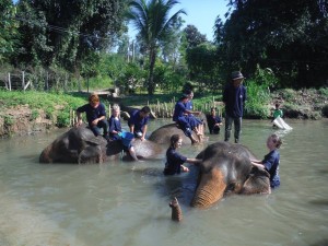 Thailand Elephants in Water